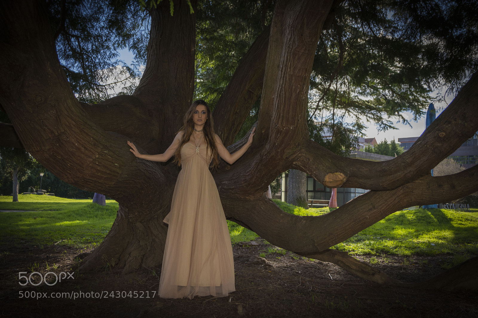 Nikon D7200 sample photo. Ary photography