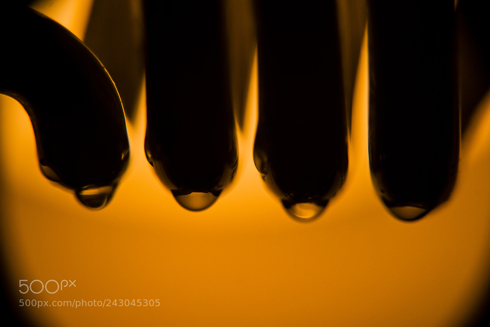 Nikon D800 sample photo. Waterdrops photography
