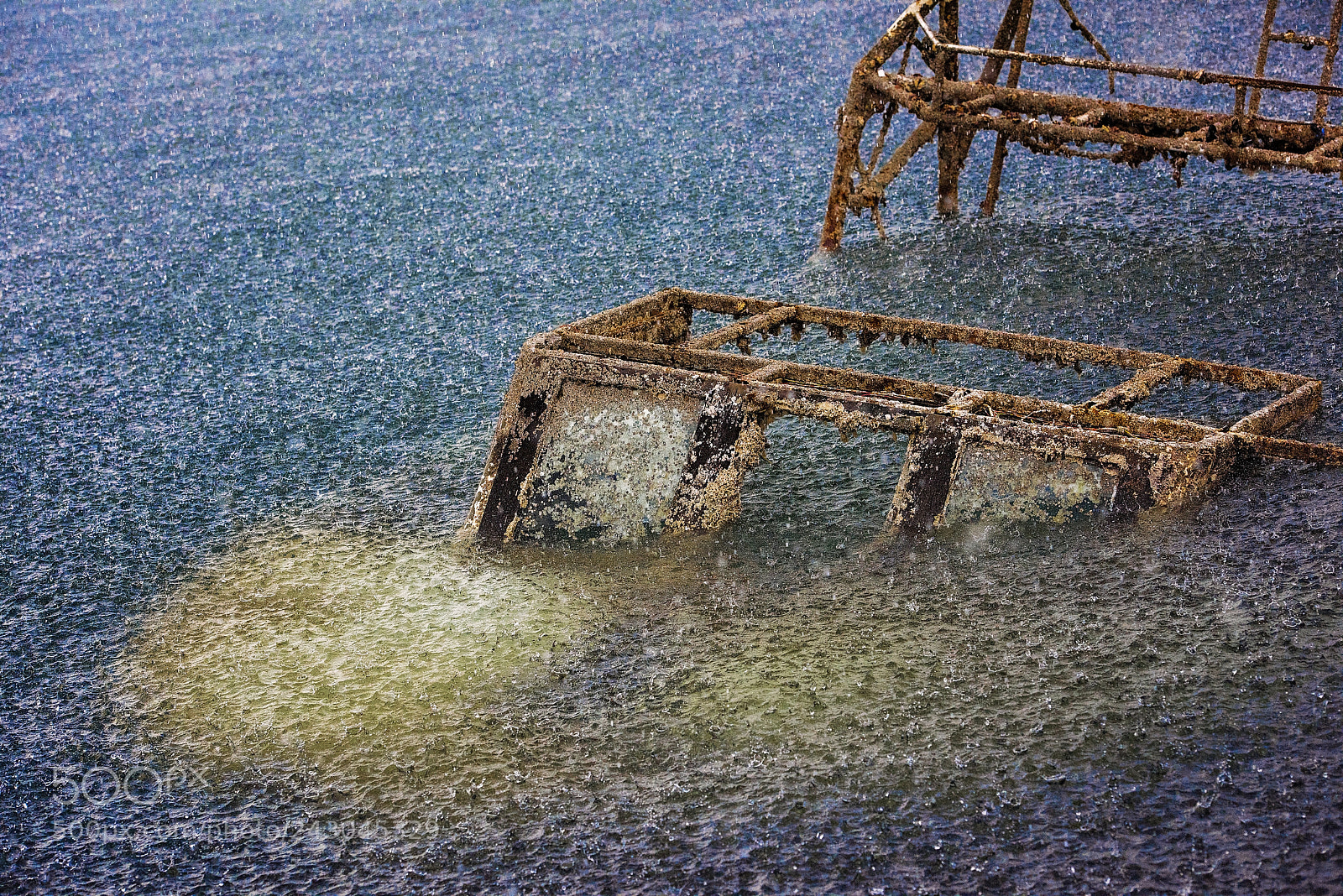 Nikon D810 sample photo. Under heavy summer rain photography