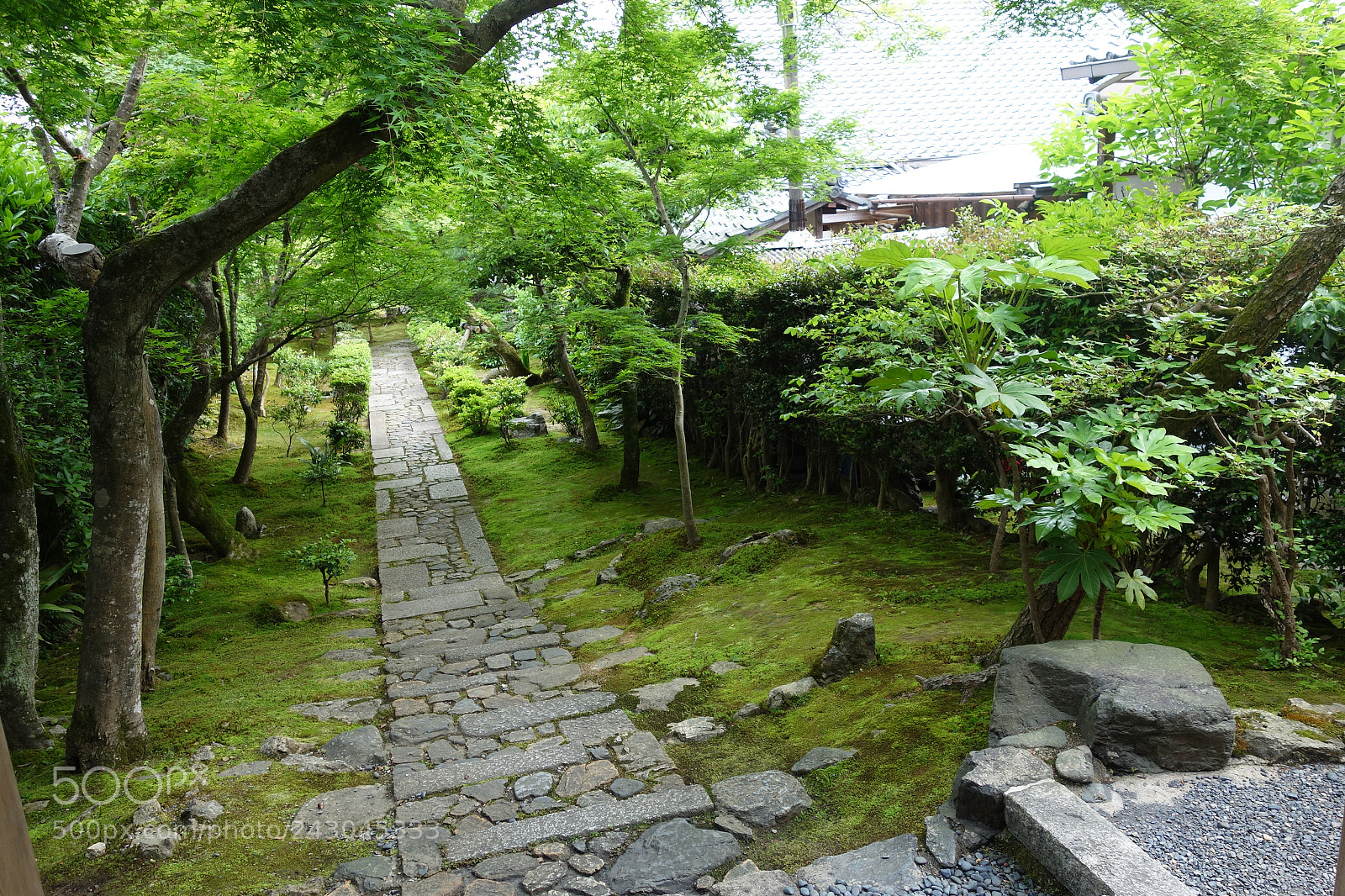 Sony Cyber-shot DSC-RX100 sample photo. Footpath photography