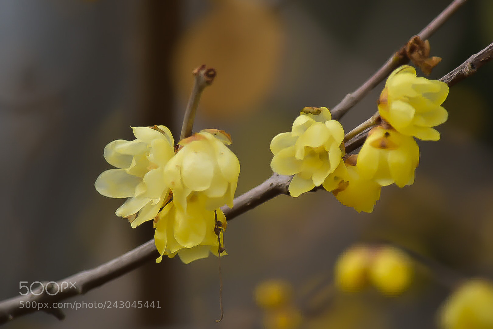 Nikon D5500 sample photo. Untitled photography