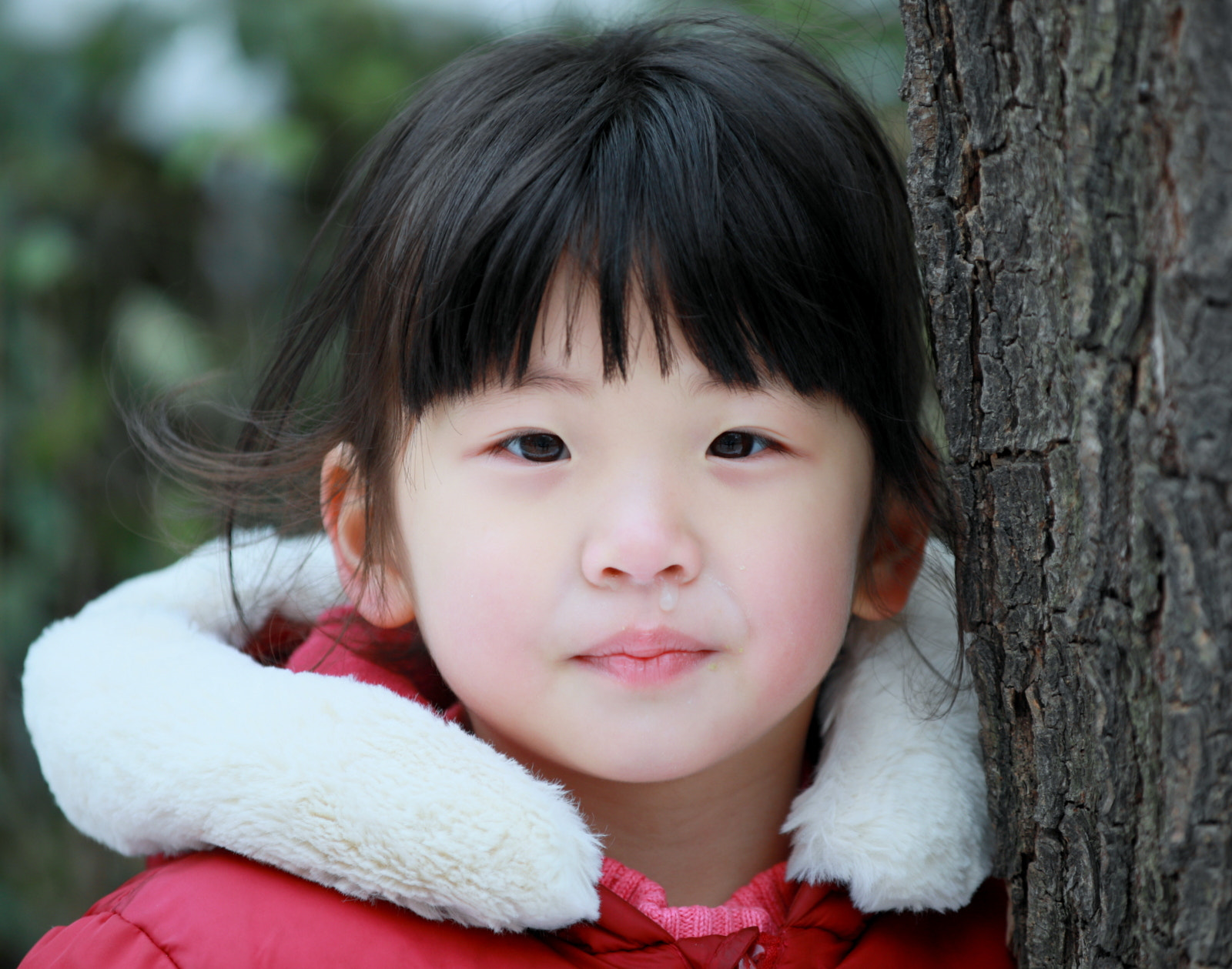 Canon EF 80-200mm f/2.8L sample photo