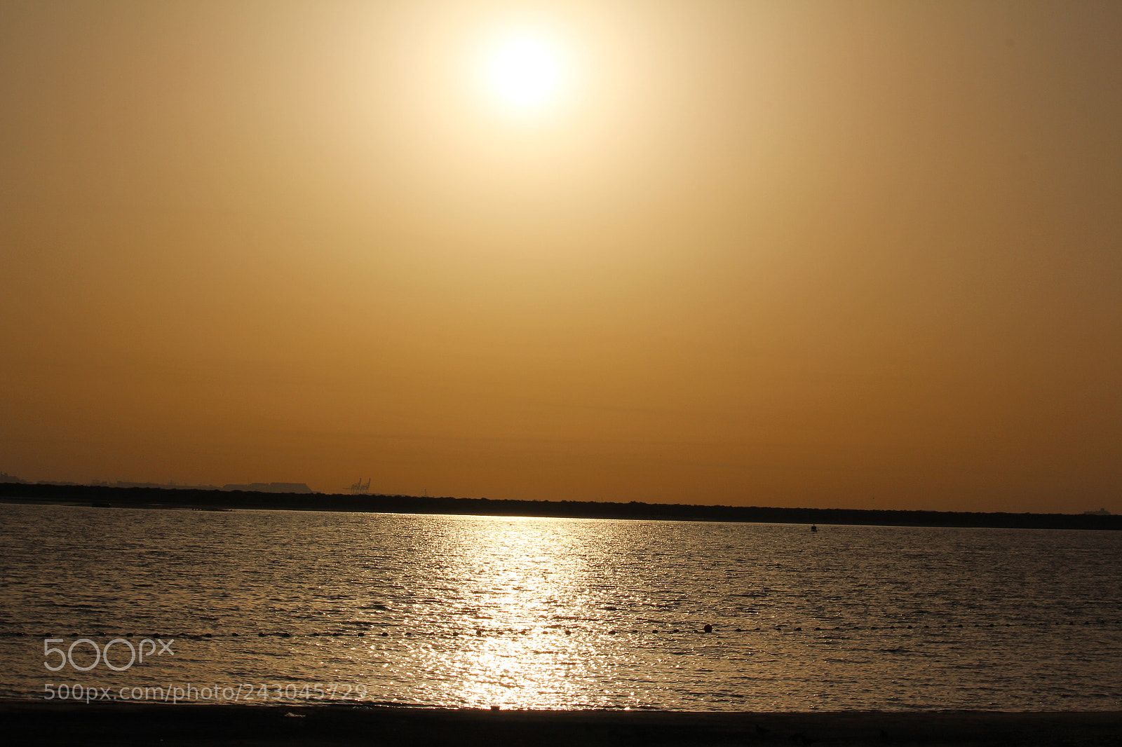 Canon EF-S 55-250mm F4-5.6 IS STM sample photo. Good morning photography