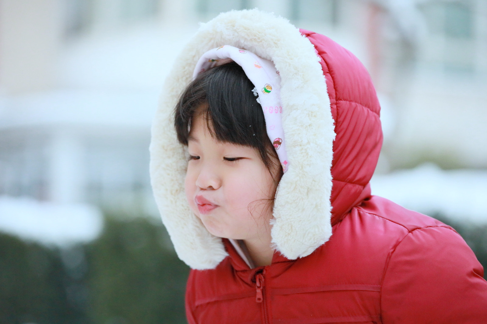 Canon EF 70-200mm F4L IS USM sample photo