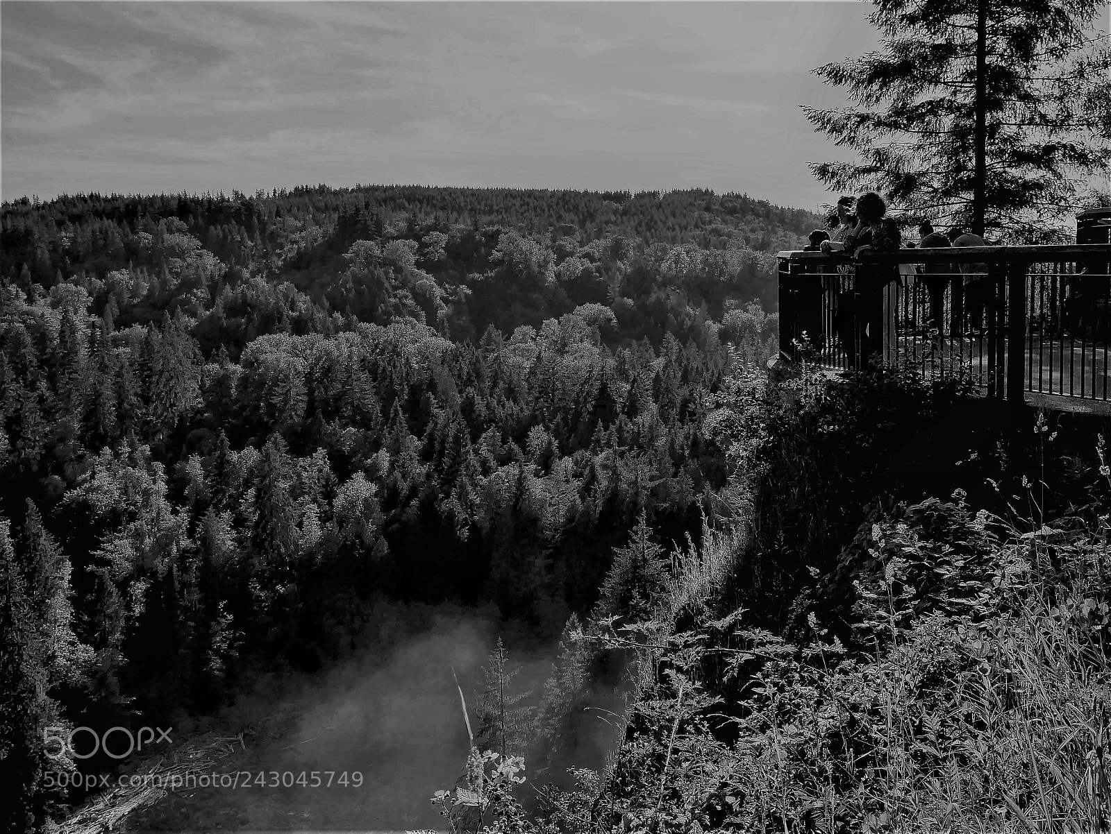 Panasonic Lumix DMC-GX85 (Lumix DMC-GX80 / Lumix DMC-GX7 Mark II) sample photo. Snoqualmie national forest photography