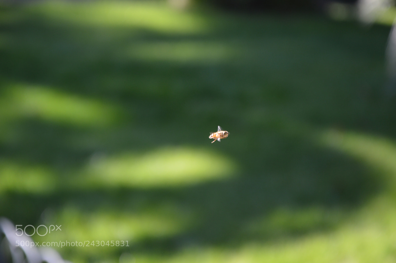 Nikon D3200 sample photo. Untitled photography