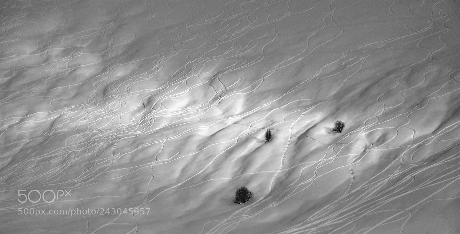 Nikon D90 sample photo. Runes on the snow photography