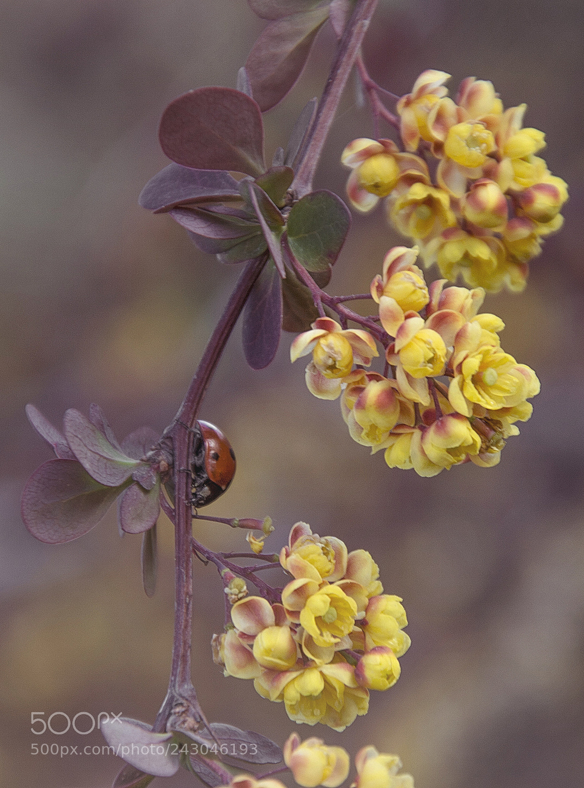 Nikon D3200 sample photo. M14 photography