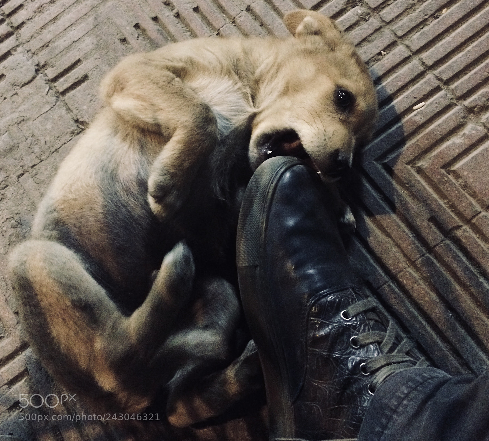 Apple iPhone 5s sample photo. Vagabond photography