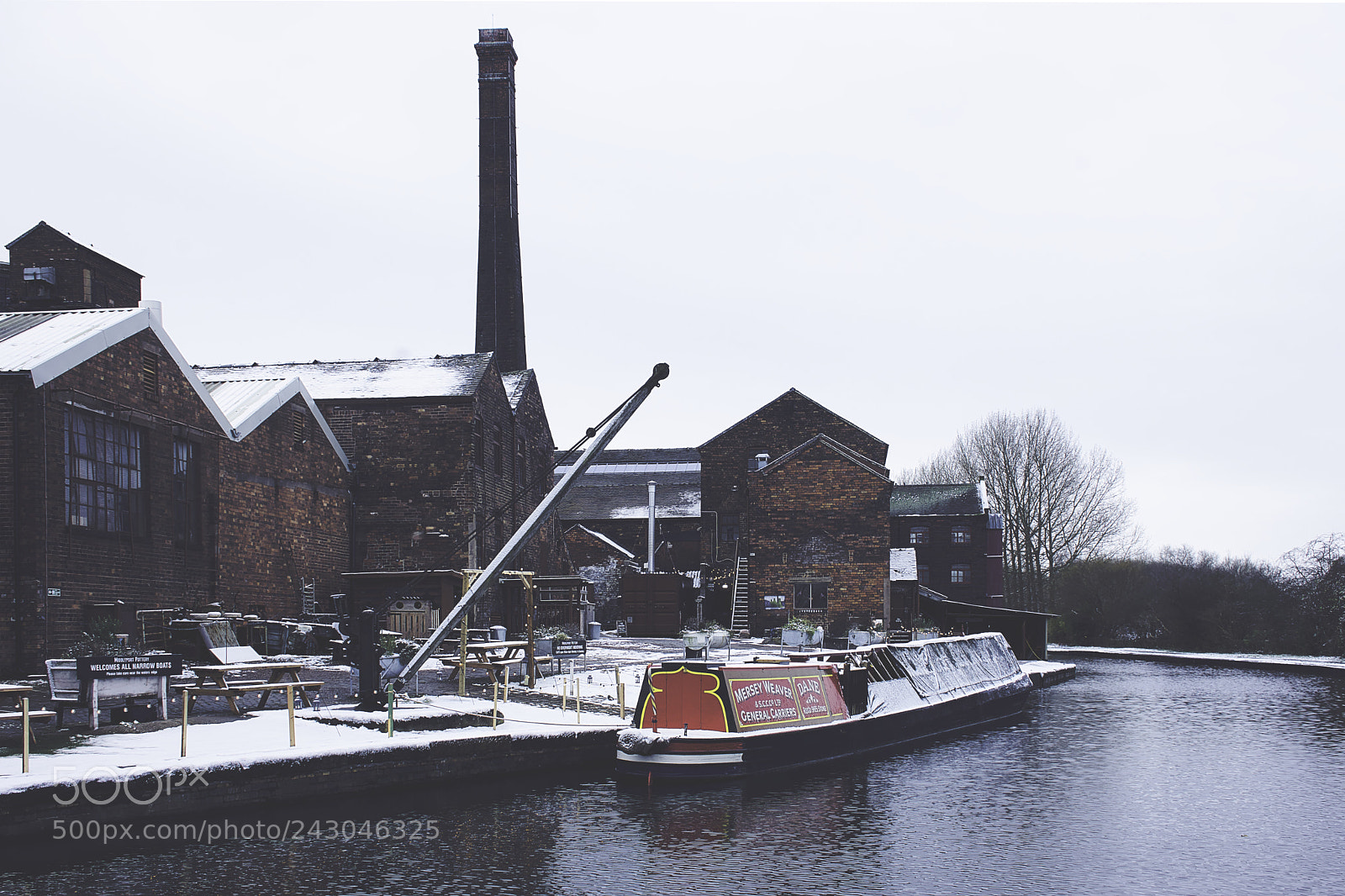 Nikon D7200 sample photo. Winter adventures photography