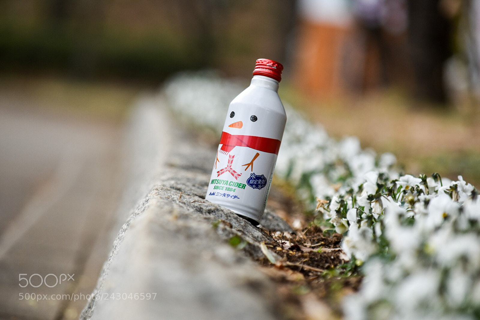Nikon D5500 sample photo. Untitled photography