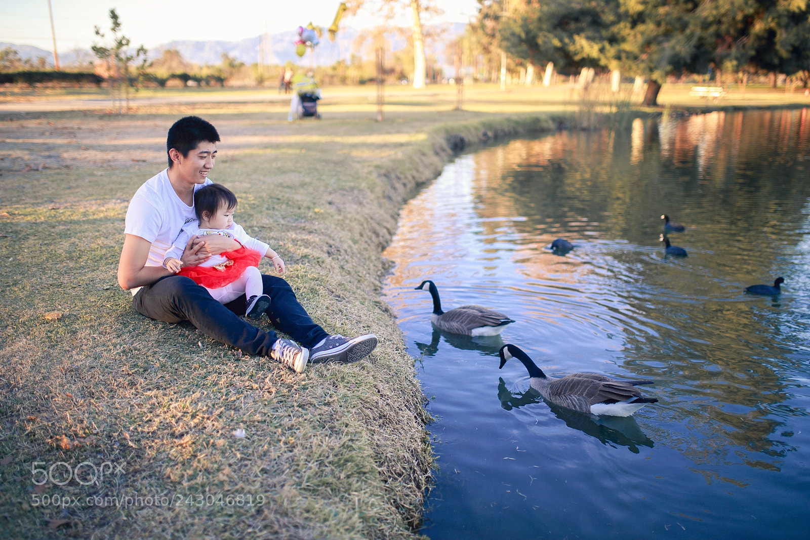 Canon EOS-1D X sample photo. Hq photography