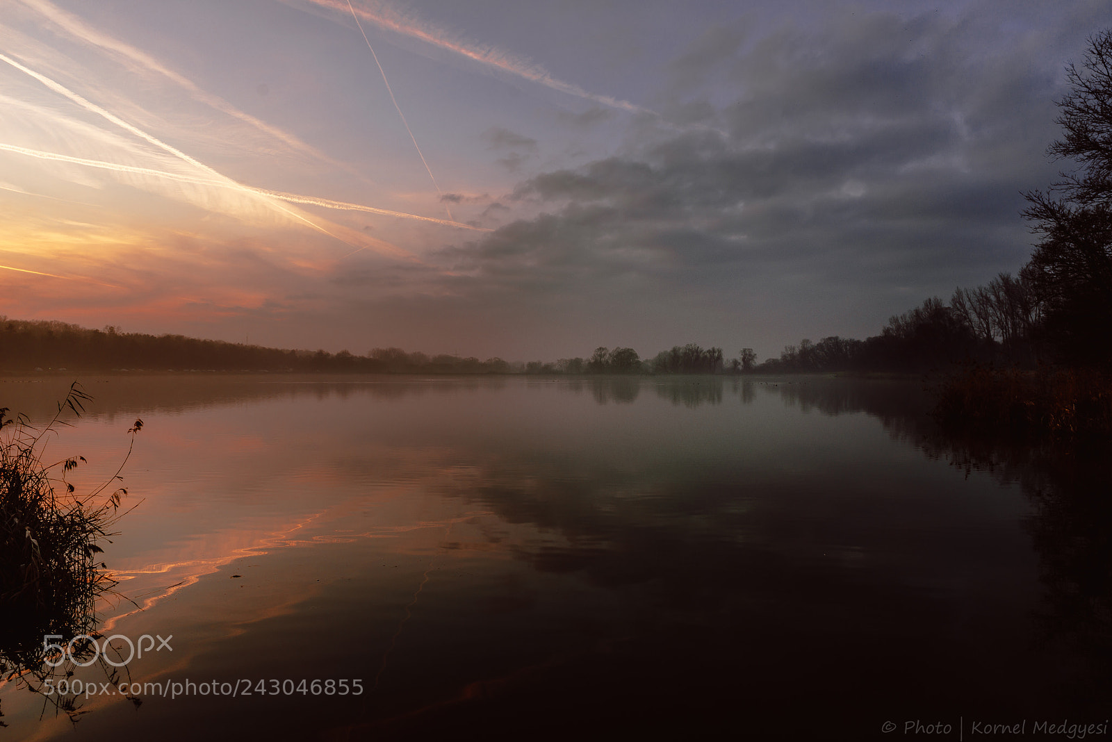 Nikon D610 sample photo. Reflection photography