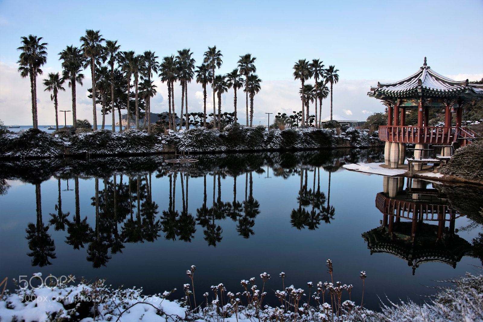 Nikon D810 sample photo. Lovely winter photography