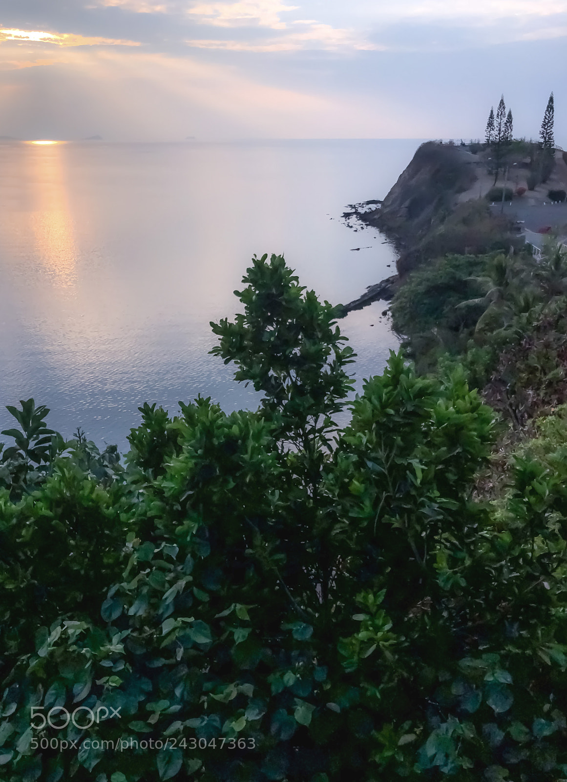 Apple iPhone X sample photo. Morning sun photography