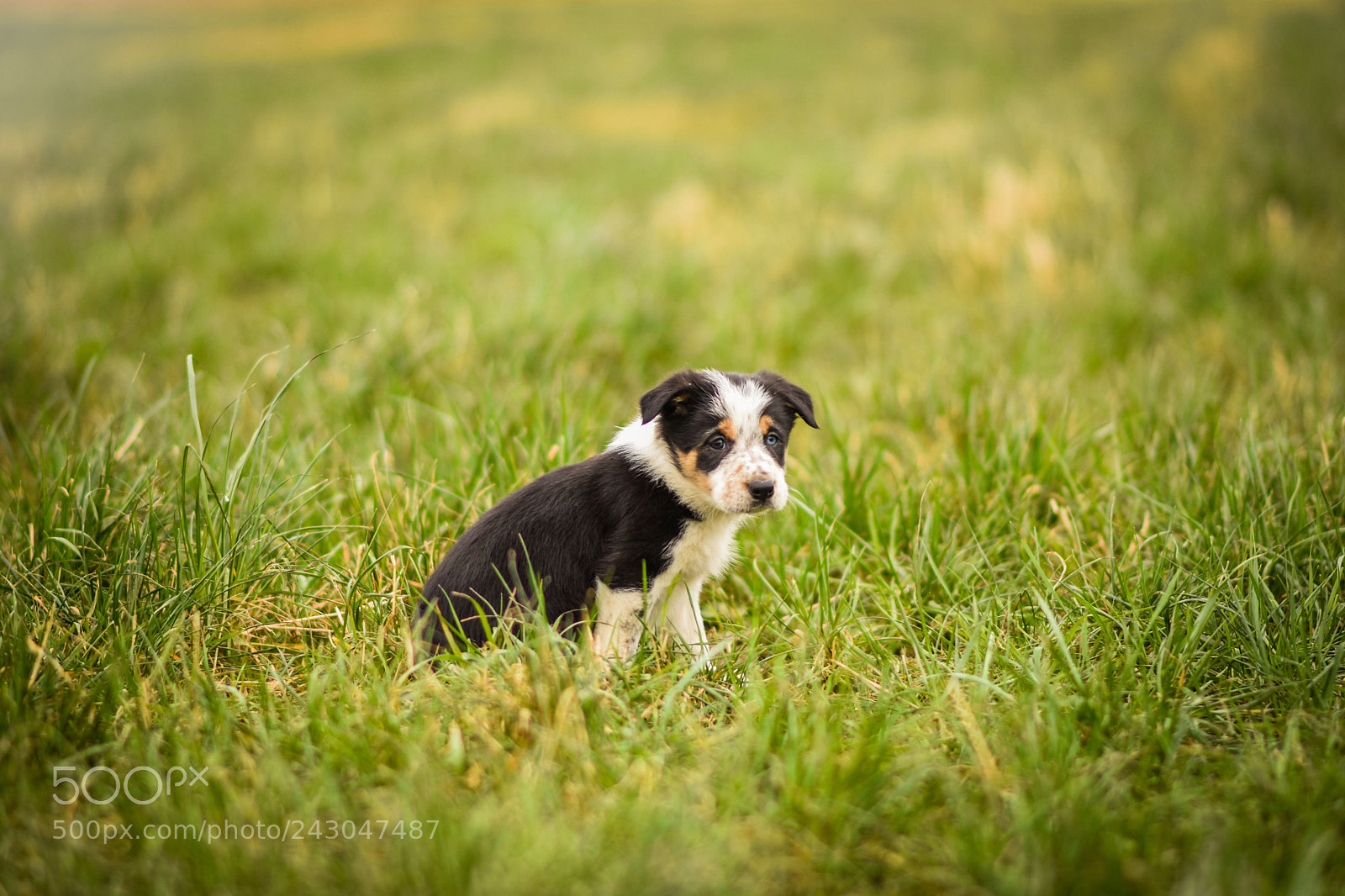 Nikon D7200 sample photo. Untitled photography
