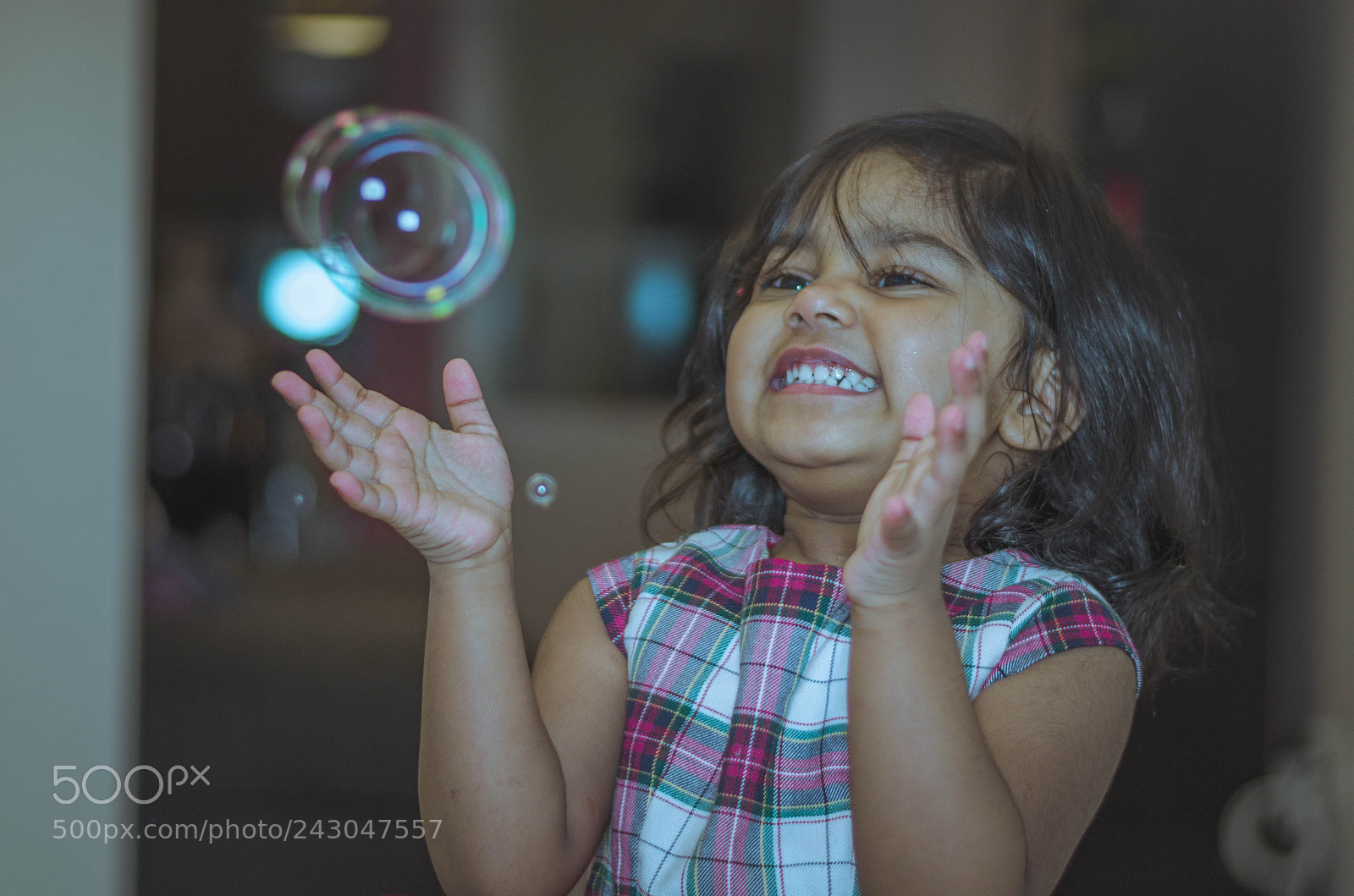 Nikon D5100 sample photo. Let your life be photography