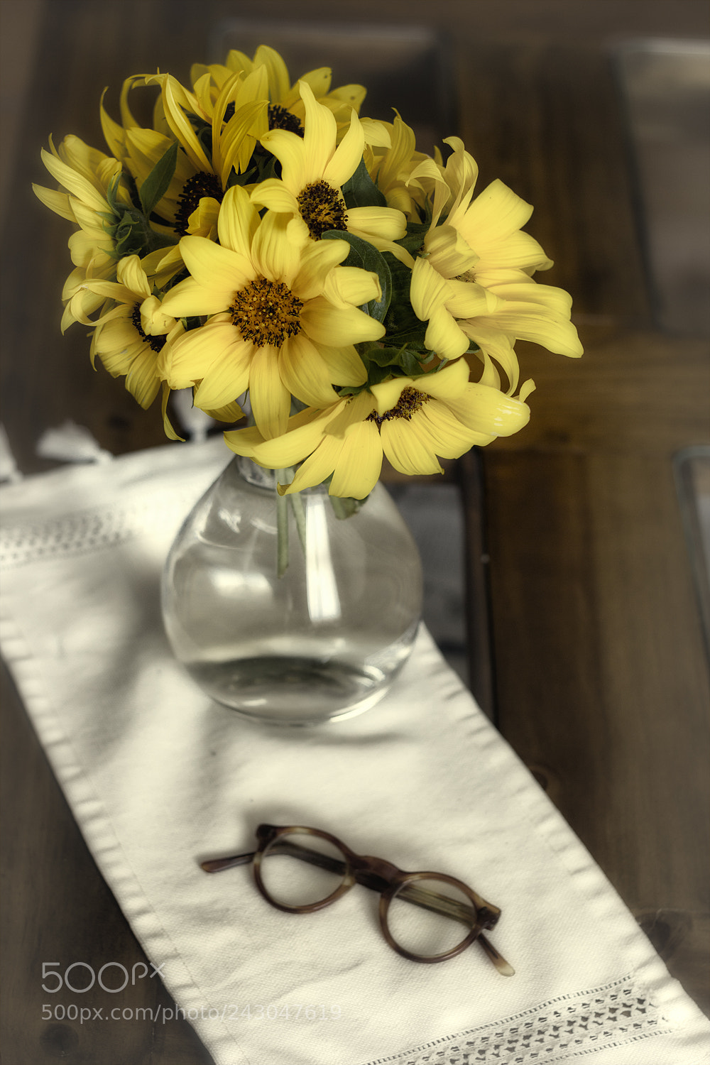 Canon EOS 550D (EOS Rebel T2i / EOS Kiss X4) sample photo. Girasoles photography
