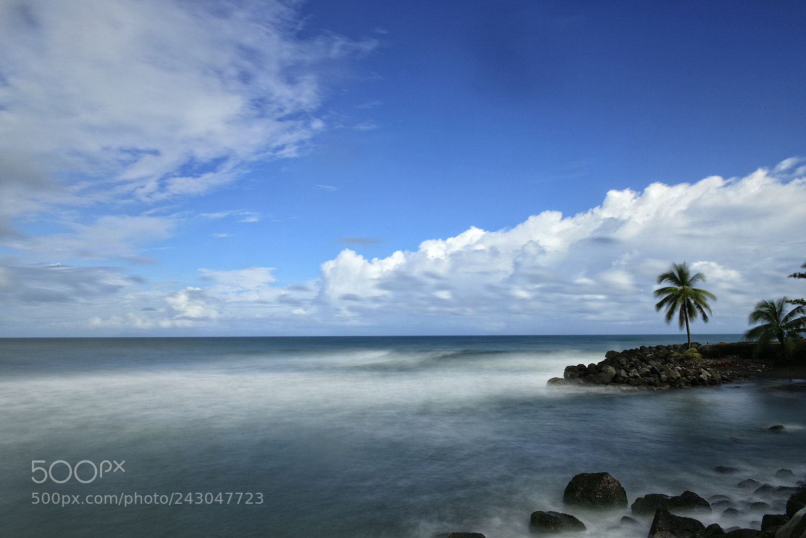 Nikon D810 sample photo. Port de basse-pointe photography