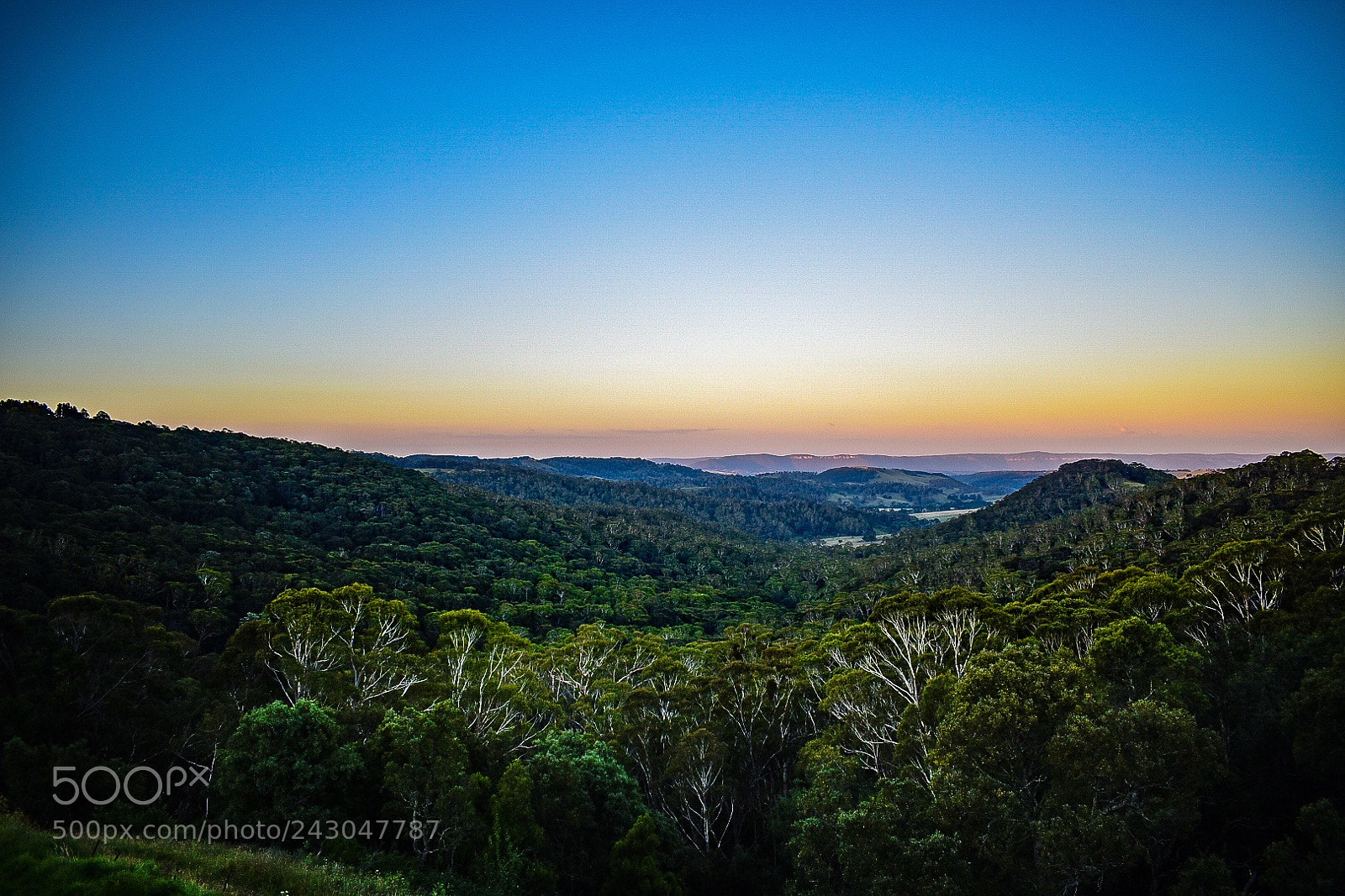 Nikon D5600 sample photo. Blue mountains photography
