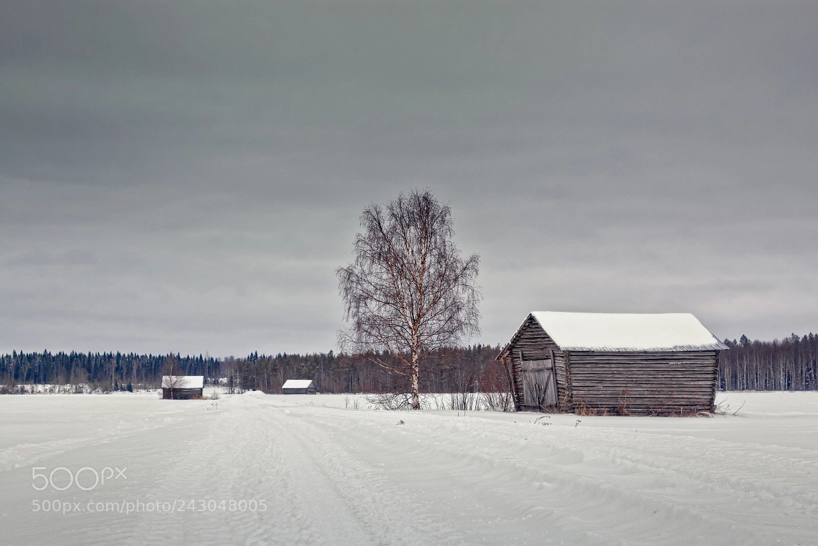 Canon EOS 50D sample photo. Snowy road to the photography
