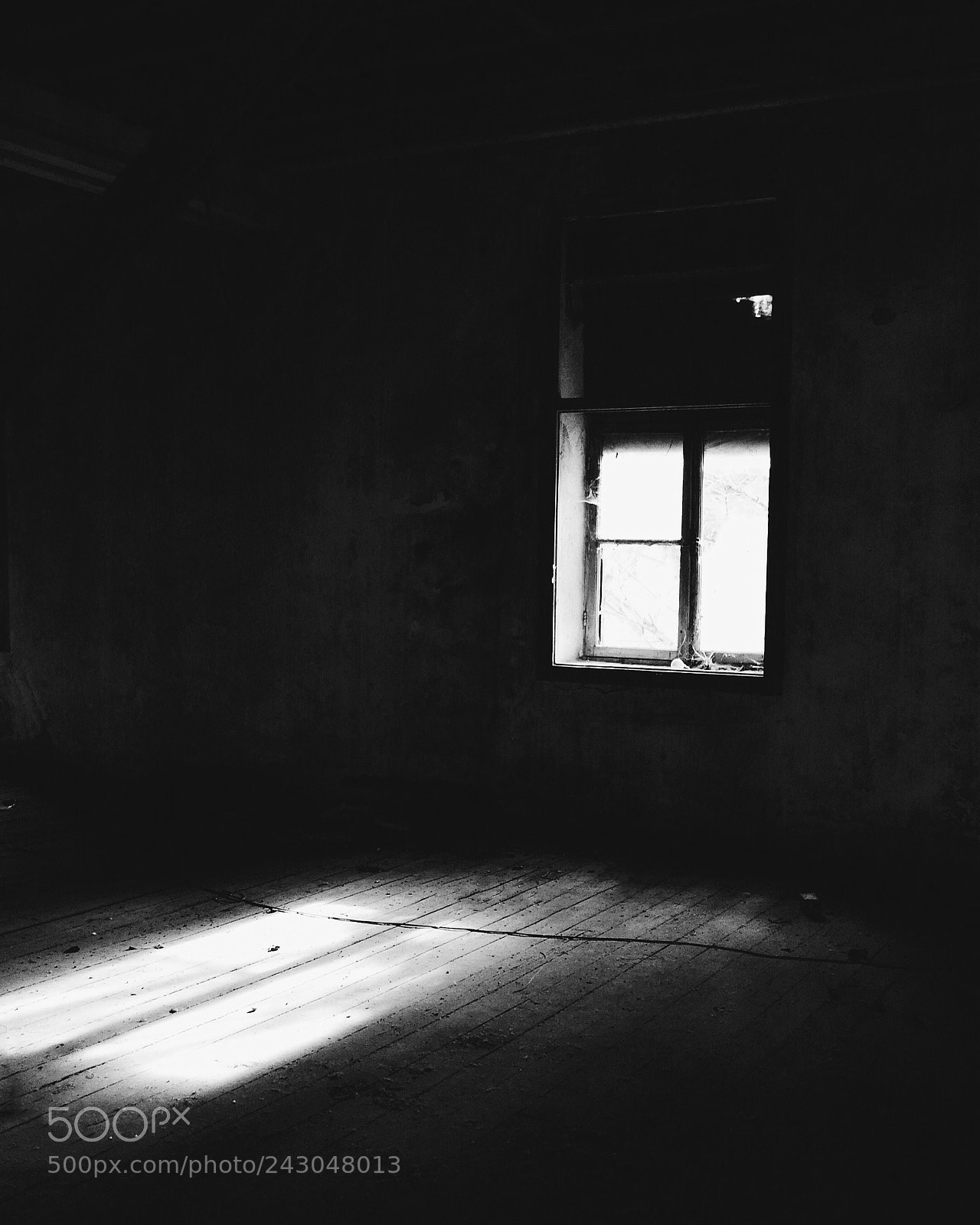 Nikon D3100 sample photo. "the light in darkness".. photography