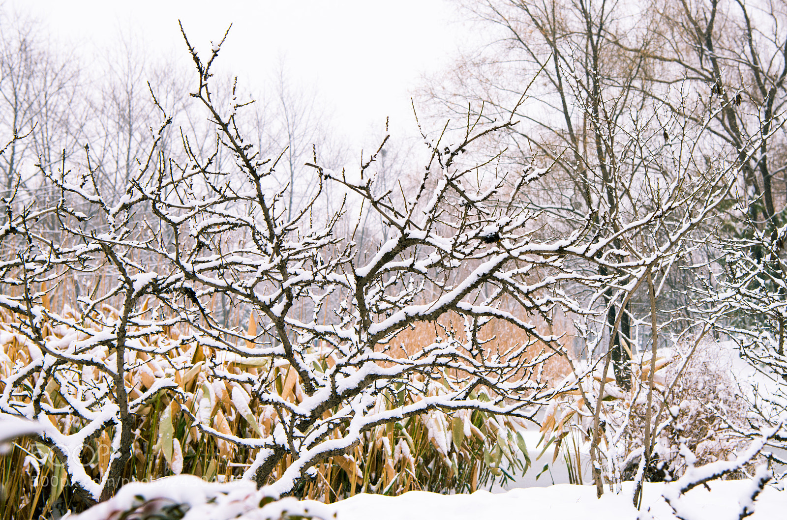 Nikon D800 sample photo. Untitled photography