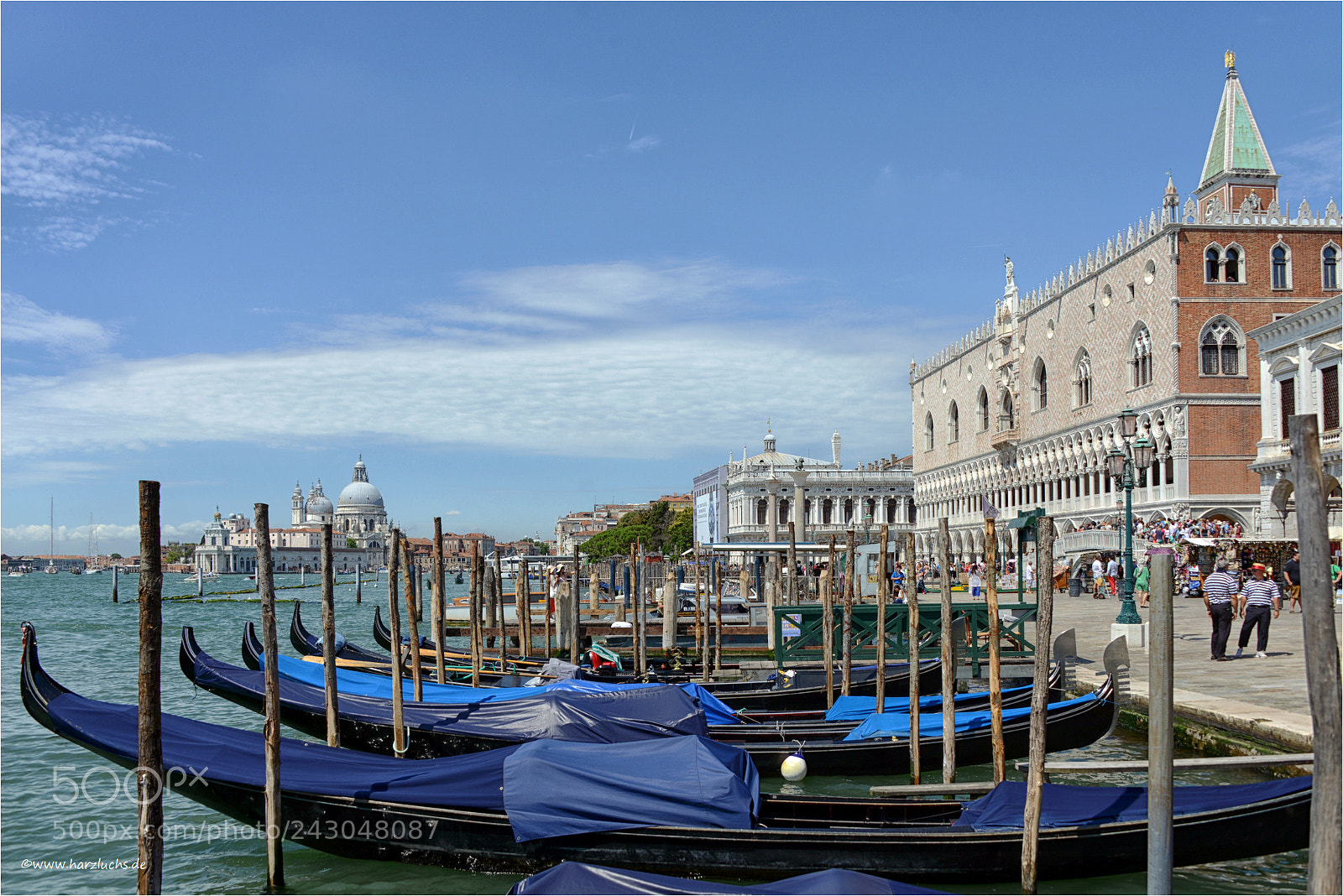 Nikon D800 sample photo. Venedig photography