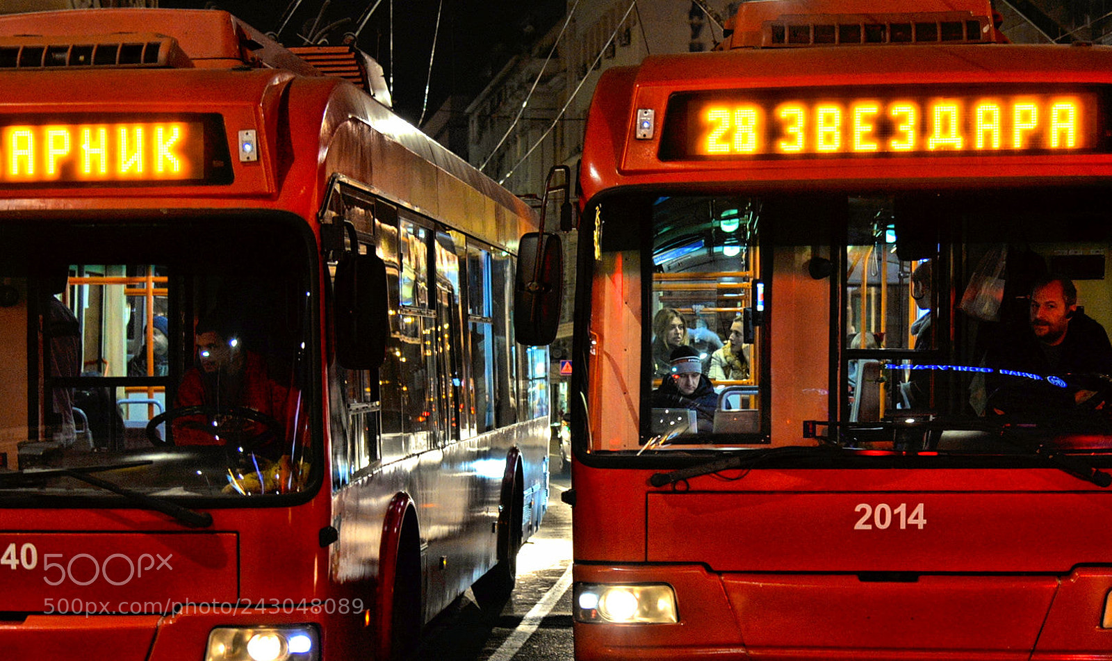 Nikon D610 sample photo. Red bus photography