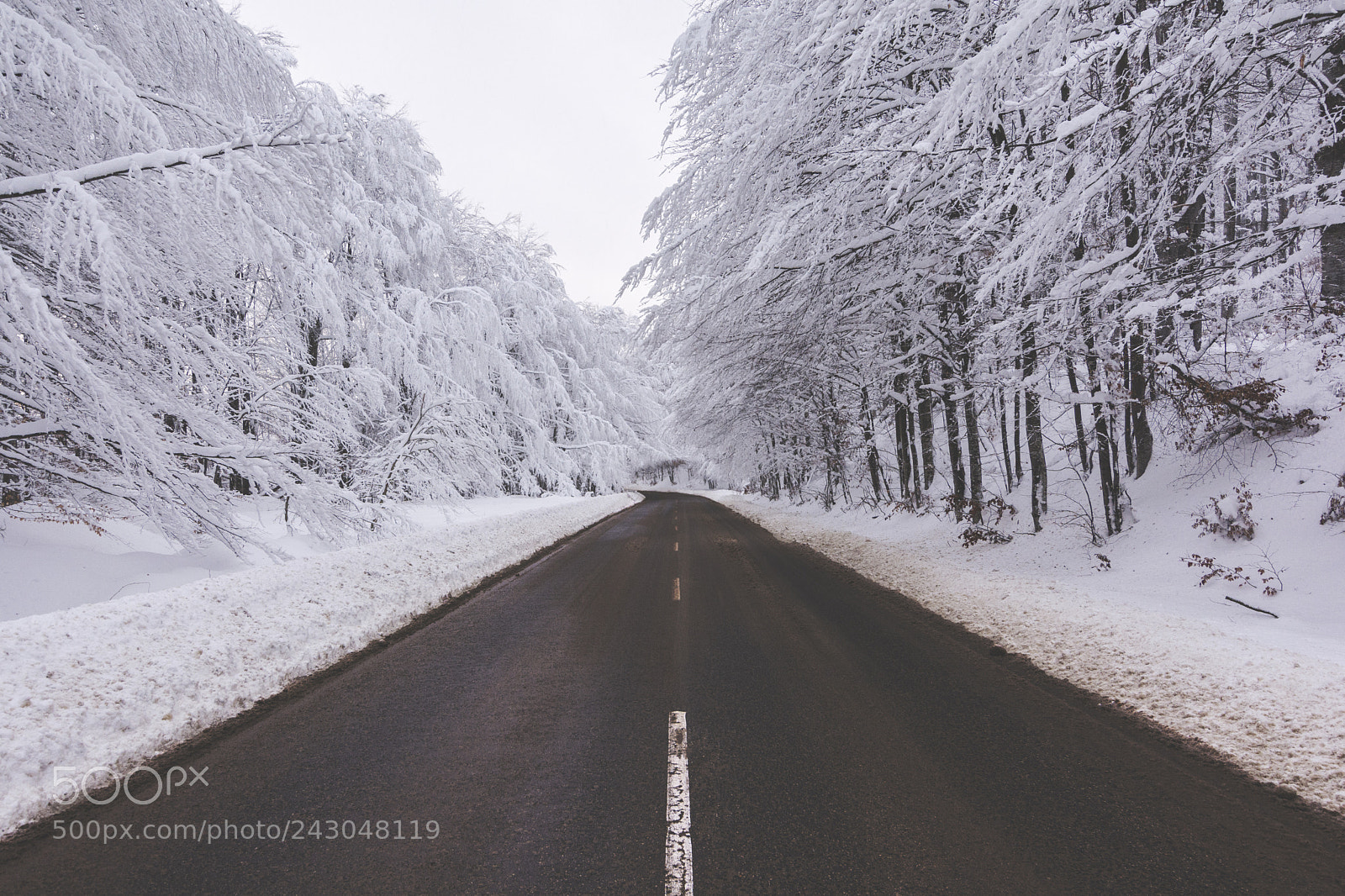 Nikon D5200 sample photo. Road in the snowy photography