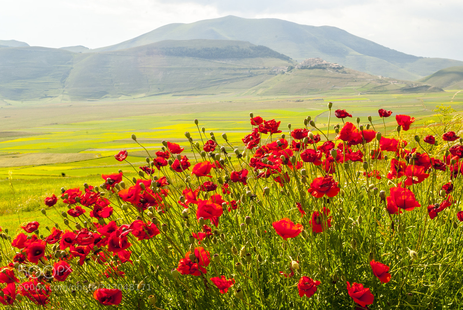 Nikon D200 sample photo. Landscape of piano di photography