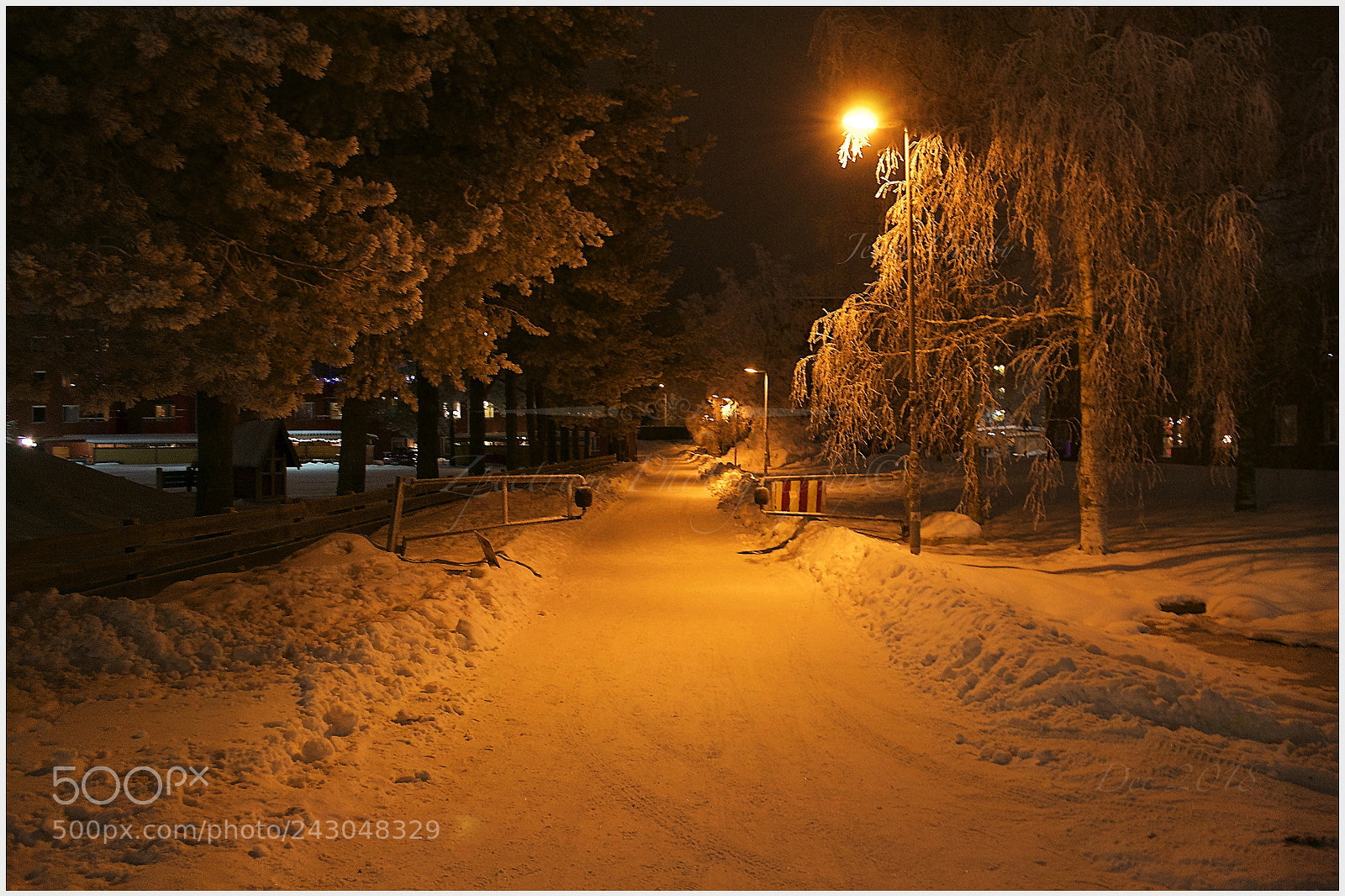 Nikon D3100 sample photo. Winter path photography