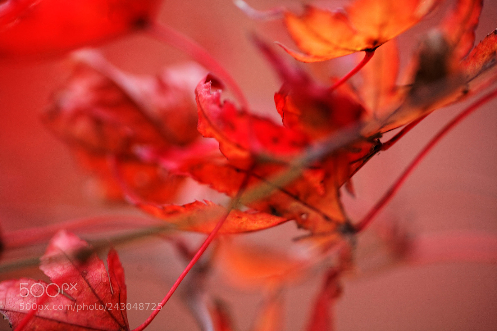 Canon EOS 5D sample photo. River flows photography