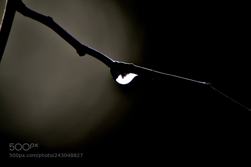 Nikon D3100 sample photo. Alle porte del buio photography