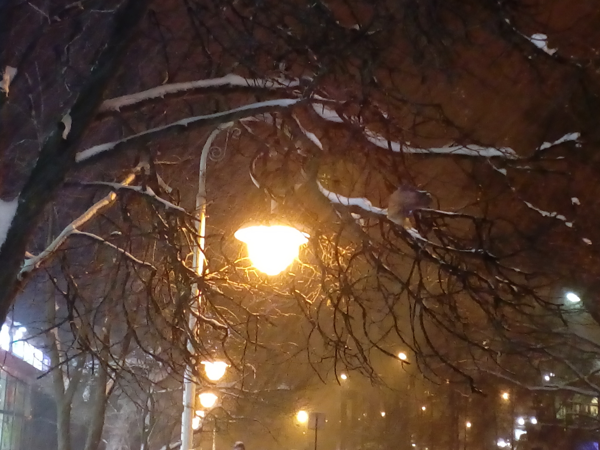 ZTE BLADE A510 sample photo