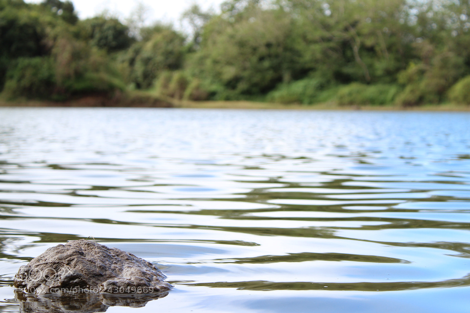 Canon EOS 1300D (EOS Rebel T6 / EOS Kiss X80) sample photo. Lake photography