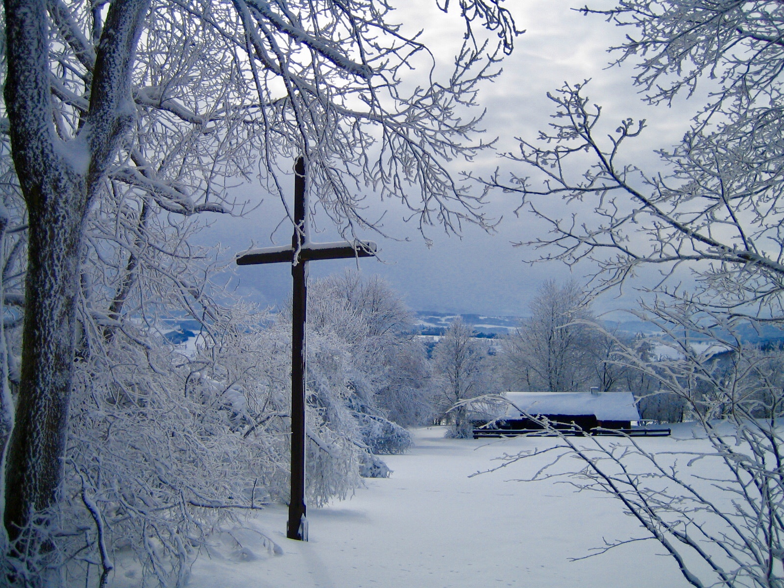 Canon DIGITAL IXUS 40 sample photo. Faithful rhoen-mountains photography