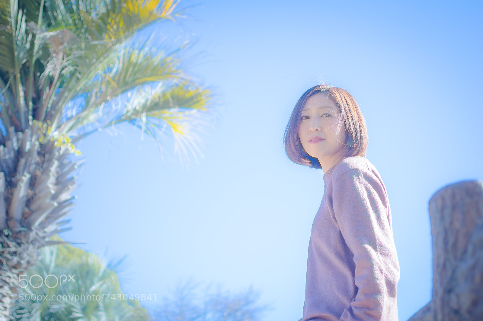 Pentax K-3 sample photo. 【life is cool.11】 photography