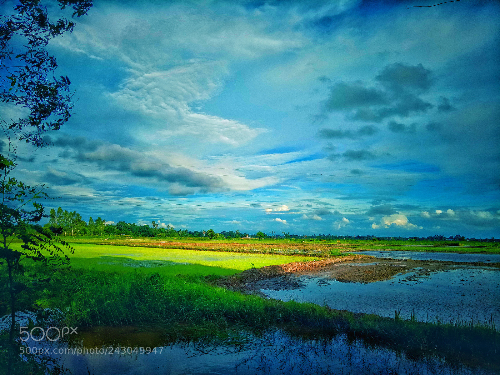 OPPO A1601 sample photo. Untitled photography
