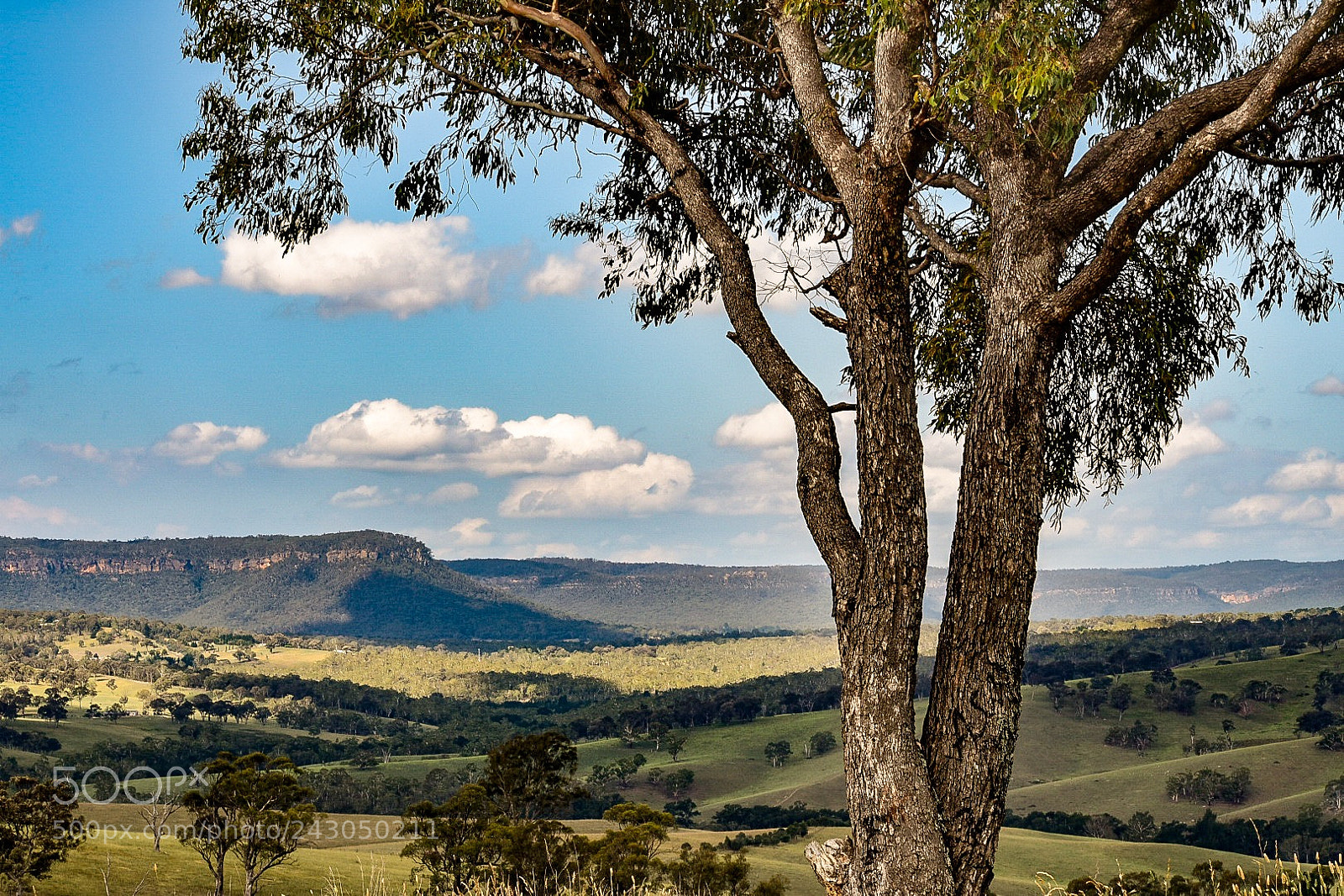 Nikon D5600 sample photo. Blue mountains photography