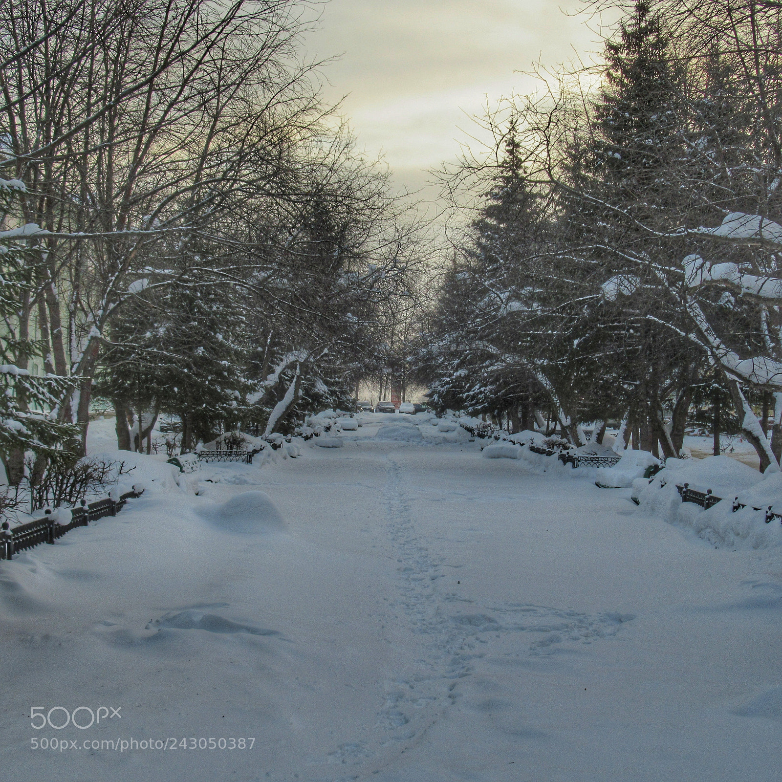 Canon PowerShot SX620 HS sample photo. Winter alley. siberia photography