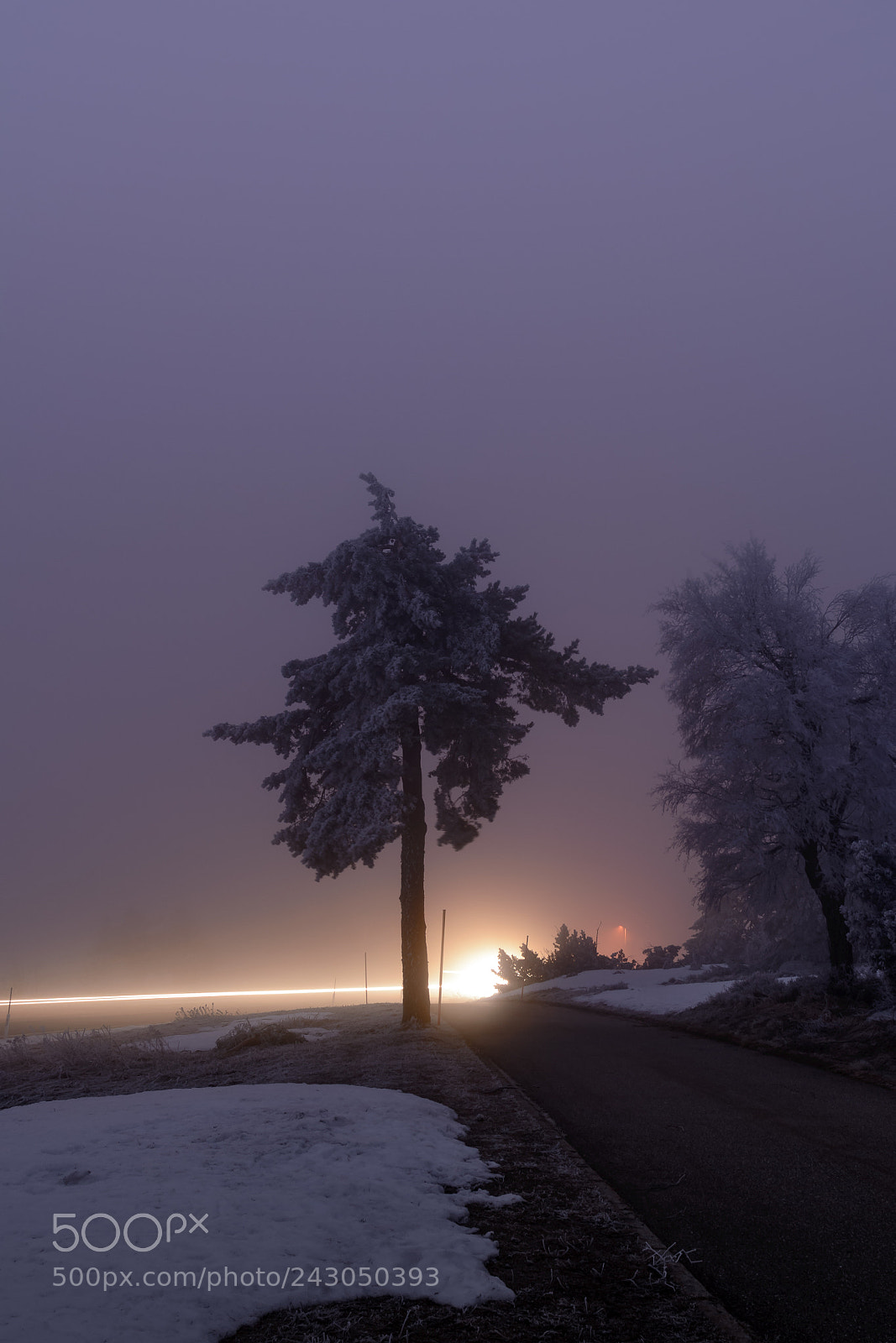 Nikon D7100 sample photo. Morgenstimmung photography