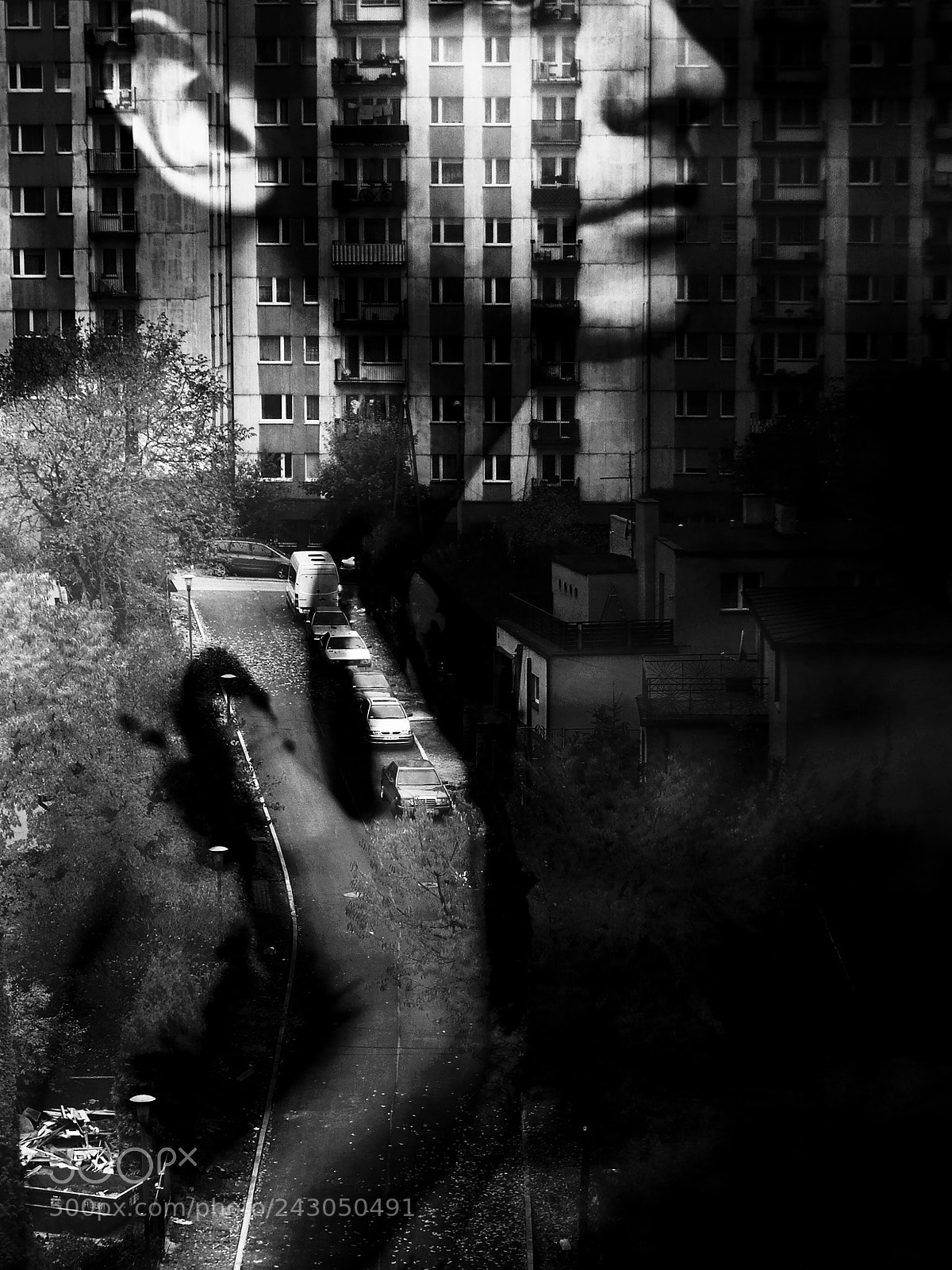 Nikon D80 sample photo. Citizen photography