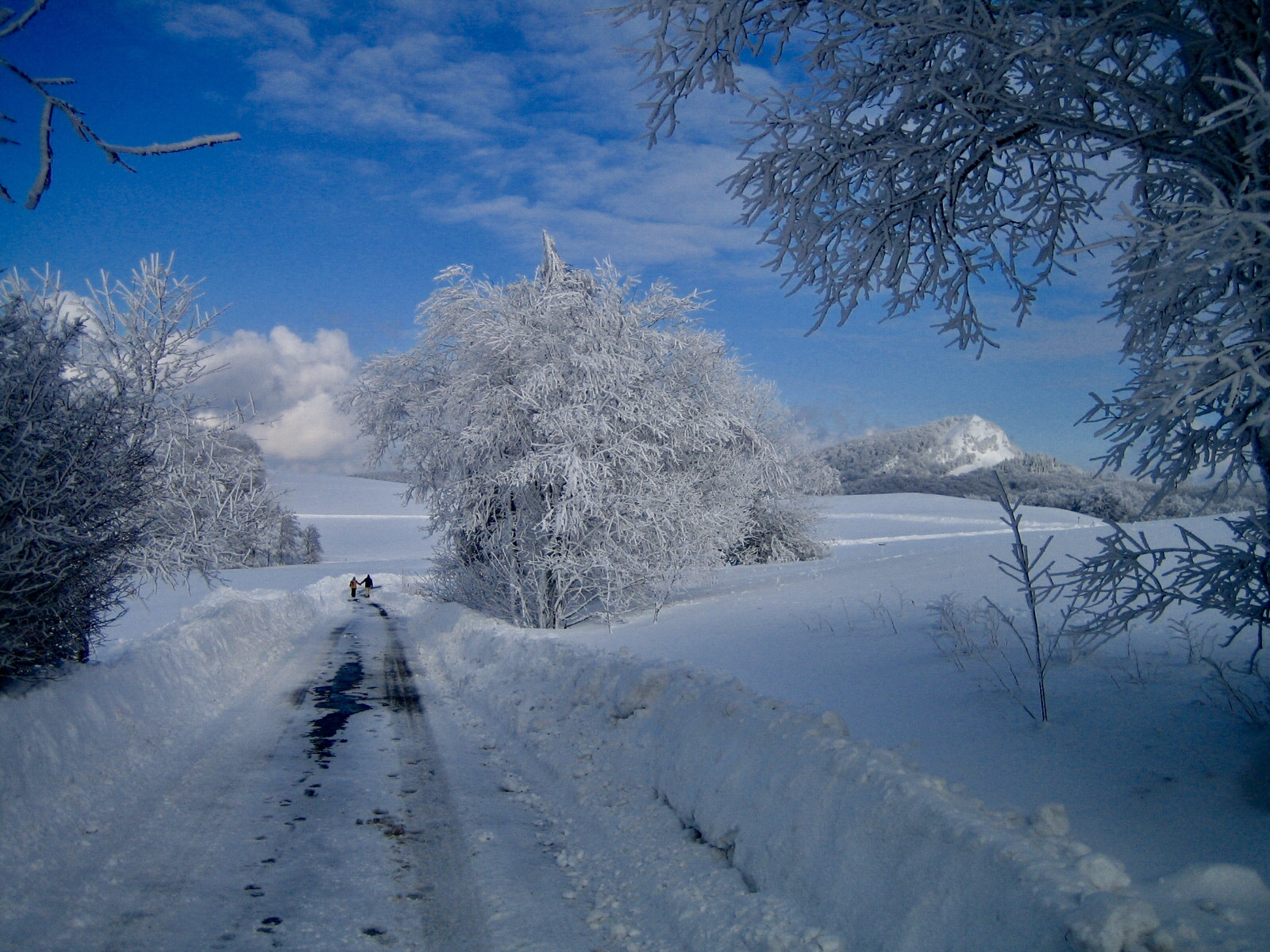 Canon DIGITAL IXUS 40 sample photo. Winter walk at the milseburg photography