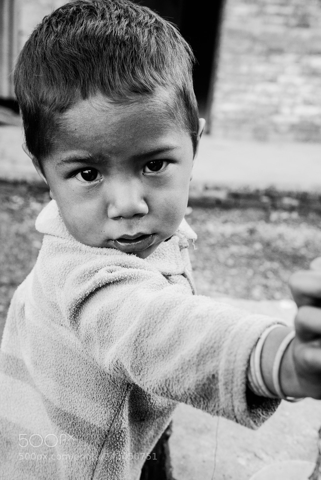 Nikon D800 sample photo. Lil fella photography