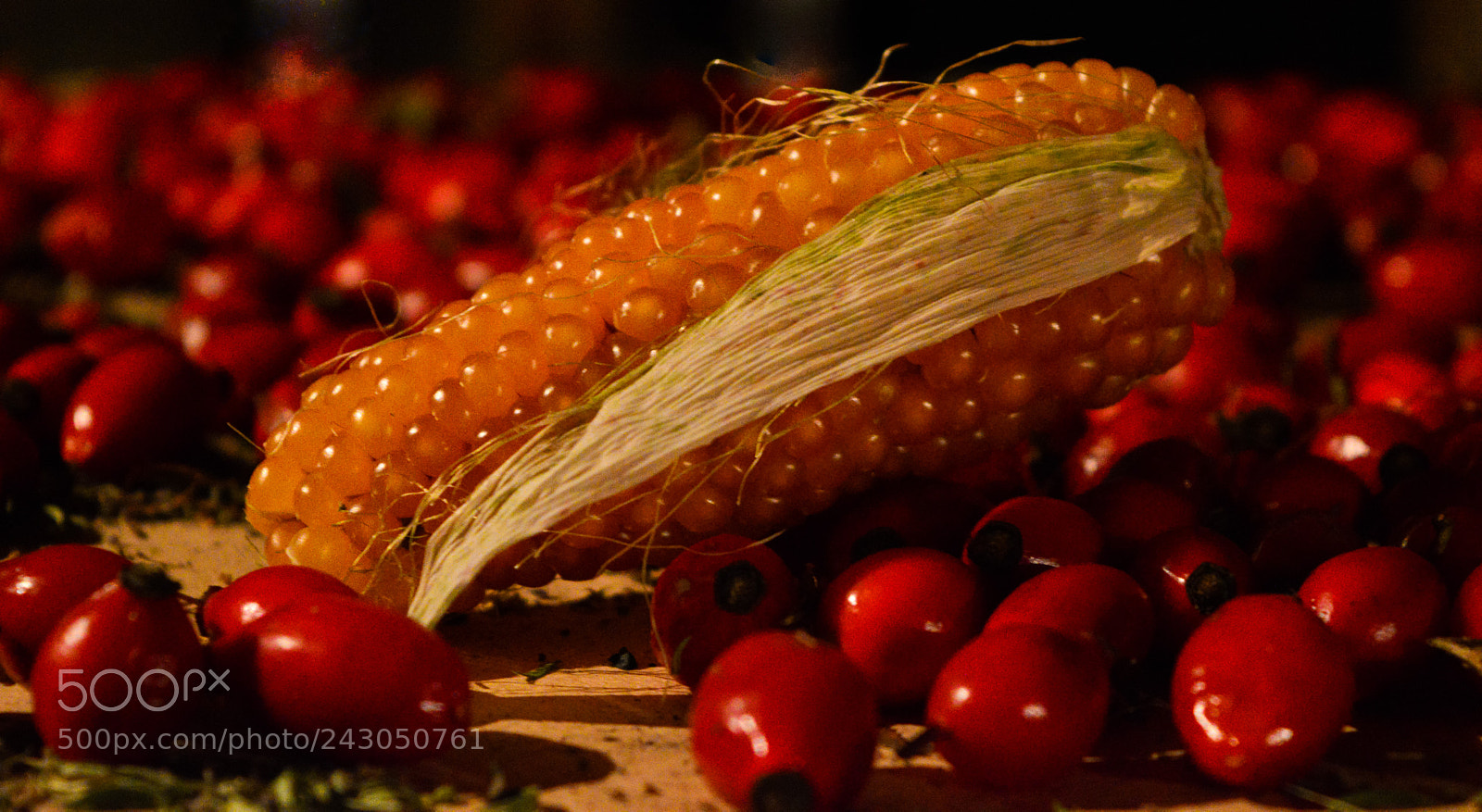 Nikon D3200 sample photo. Corn and dog-rose photography
