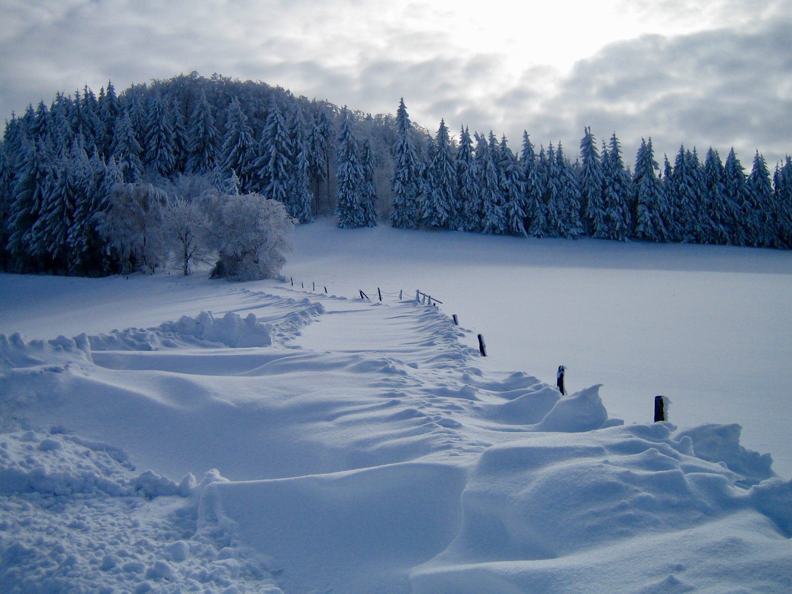 Canon DIGITAL IXUS 40 sample photo. Verwehungen - snowy land photography