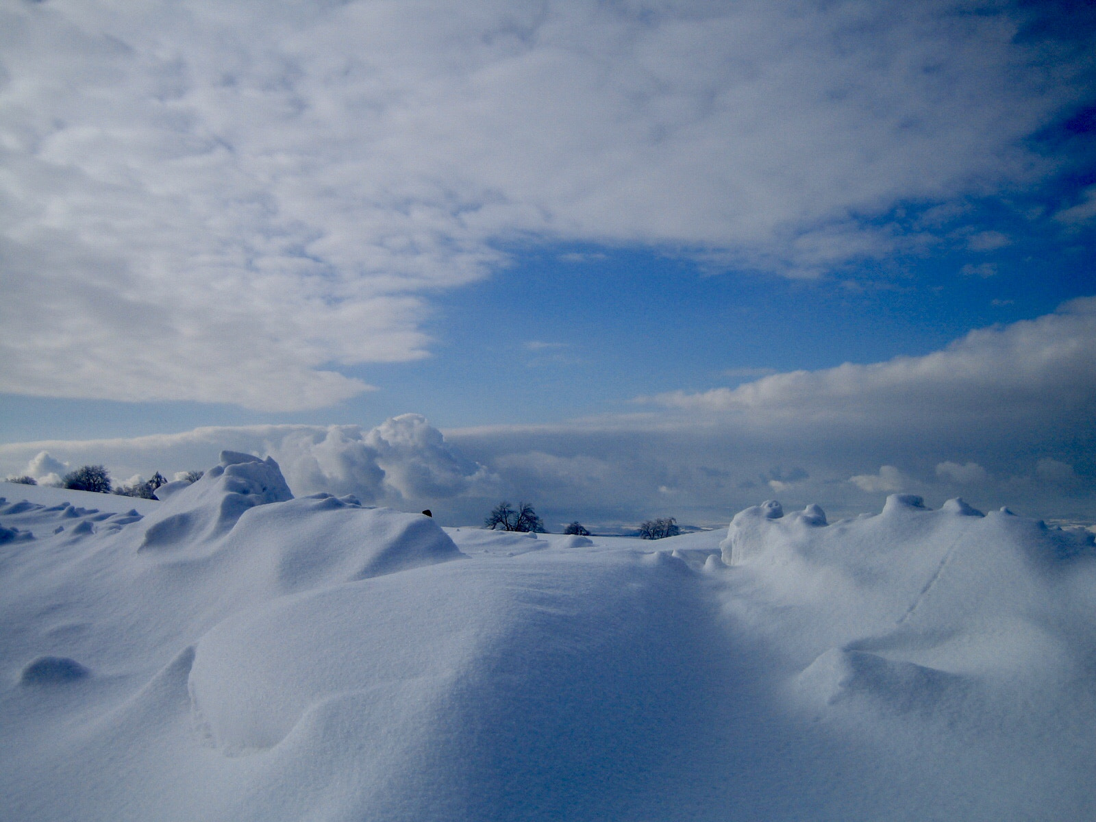 Canon DIGITAL IXUS 40 sample photo. Snowy rhoen hills photography