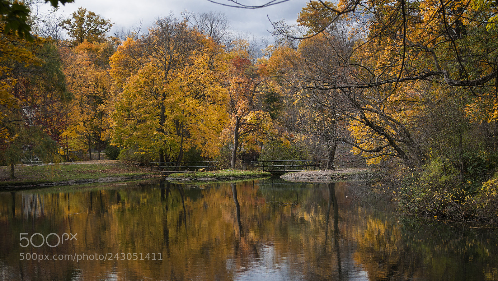 Nikon D5000 sample photo. Reflections photography