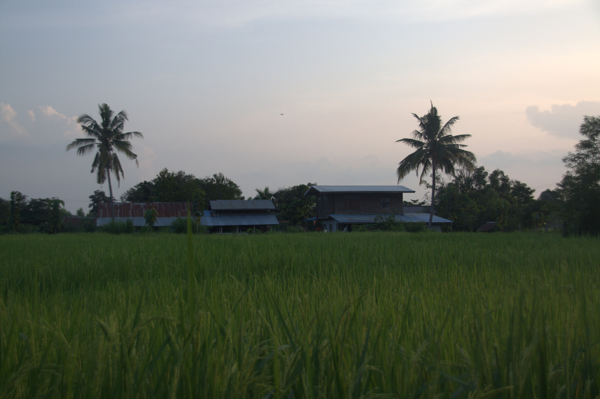 Sigma 18-200mm f/3.5-6.3 DC OS sample photo. Img photography